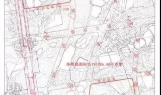 新洲一中阳逻校区 新洲一中阳逻校区